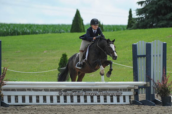 SC(6-28-14)SMPony0058