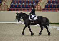 CWdressageI(8-20-16)0048