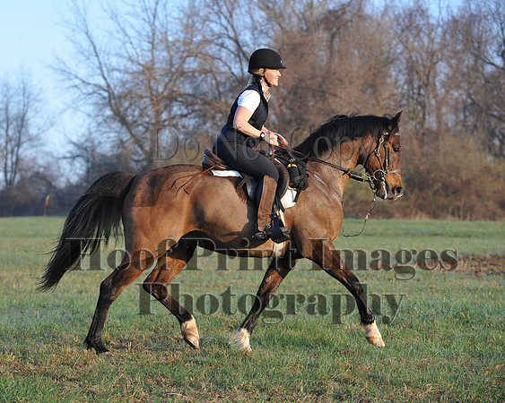 Foxcatcher(4-12-14)0359