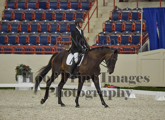 CWdressageI(8-20-16)0664