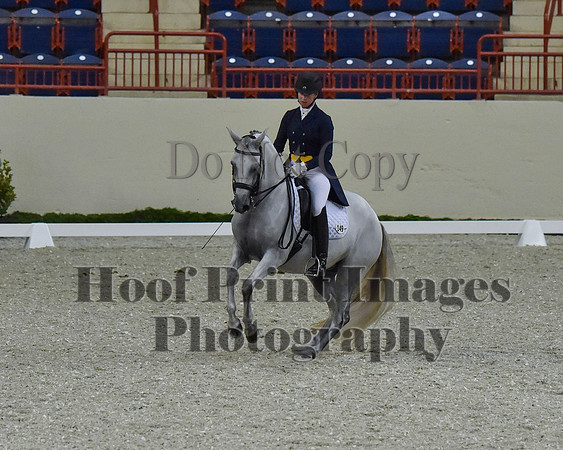 CWdressageII(8-21-16)1700