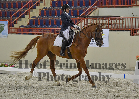 CWdressageI(8-20-16)1246
