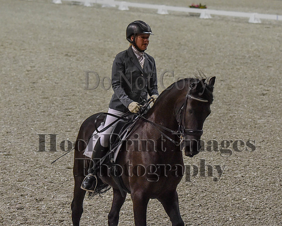 CWdressageII(8-21-16)0208