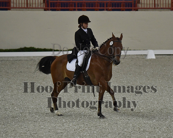 CWdressageII(8-21-16)0873