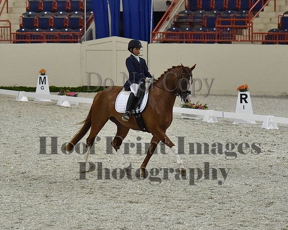 CWdressageII(8-21-16)1998