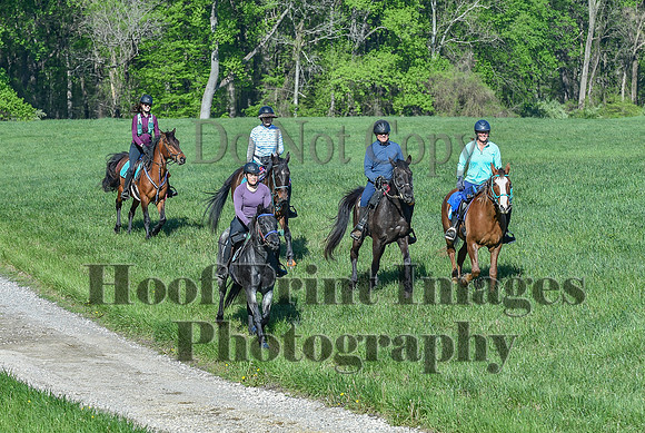 ChesapeakeSpring(4-27-25)0472