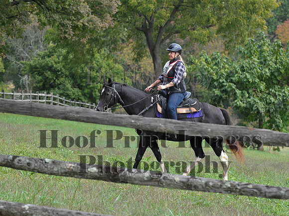 CheshirePC(10-16-16)0389