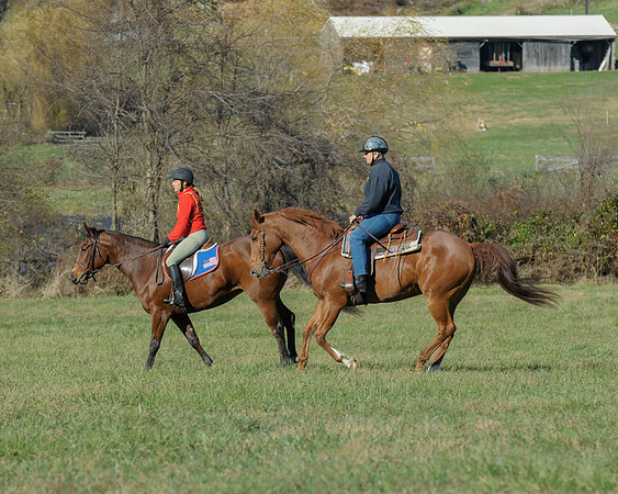 BHPC(11-15-15)0586