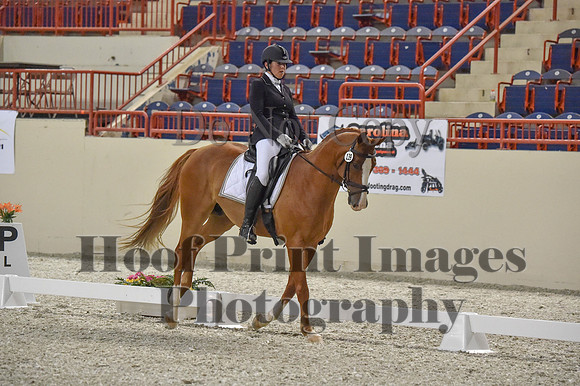 CWdressageI(8-20-16)0520