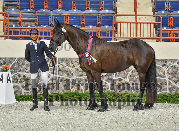 CWdressageI(8-20-16)1193