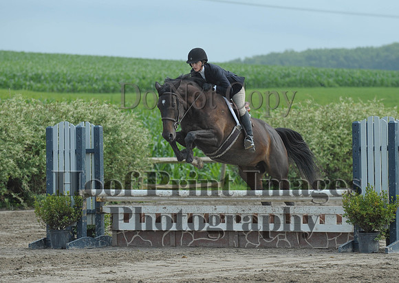 Lion(7-5-15)PrChAd0039