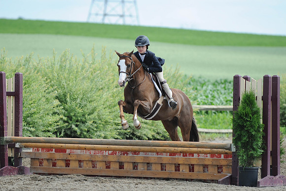 SC(6-28-14)SMPony0025