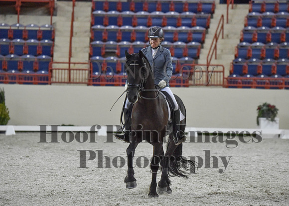 CWdressageI(8-20-16)1224