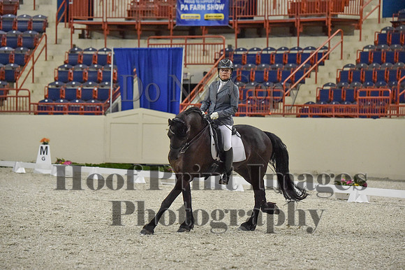 CWdressageI(8-20-16)0931