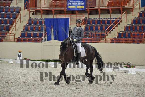CWdressageI(8-20-16)0932