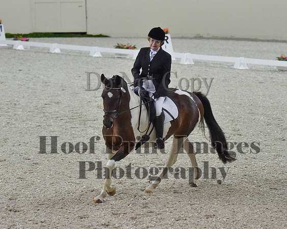 CWdressageII(8-21-16)1085