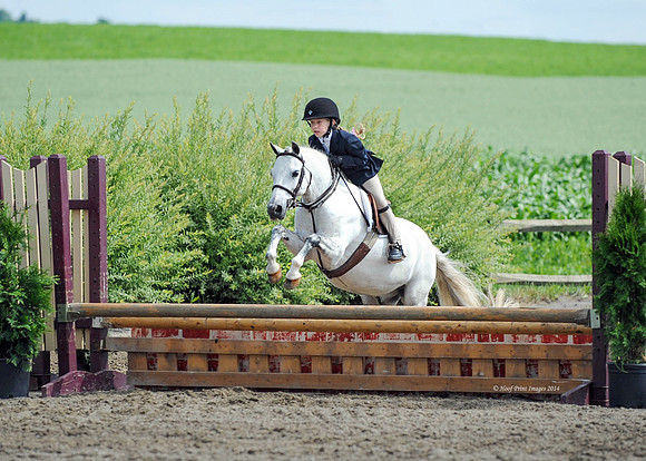 SC(6-28-14)SMPony0003