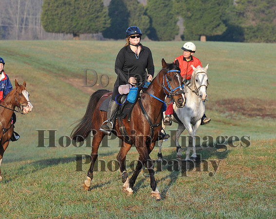 Foxcatcher(4-12-14)0481