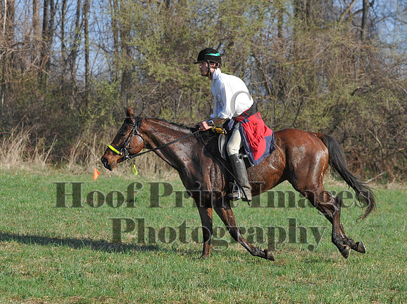 Foxcatcher(4-12-14)0574