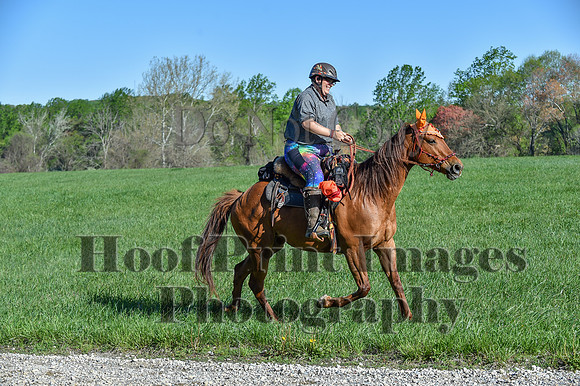 ChesapeakeSpring(4-27-25)0358