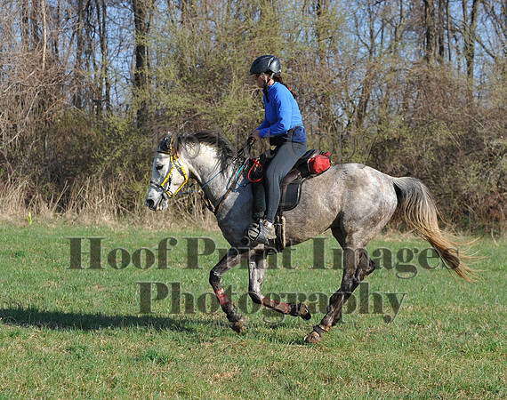 Foxcatcher(4-12-14)0555