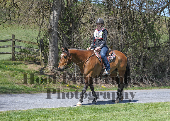 CheshirePC(4-16-16)0446