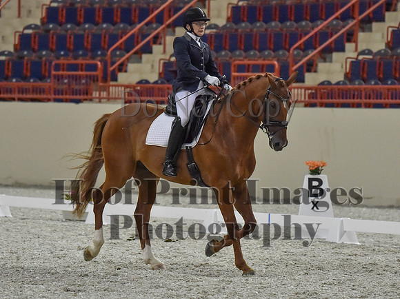 CWdressageI(8-20-16)1243