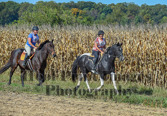 CheshirePonyClubPC(10-6-24)0218