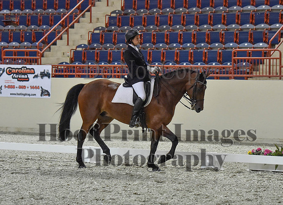 CWdressageI(8-20-16)1292