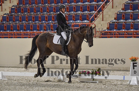 CWdressageI(8-20-16)0669