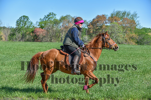 ChesapeakeSpring(4-27-25)0456