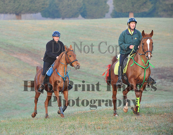 Foxcatcher(4-12-14)0161