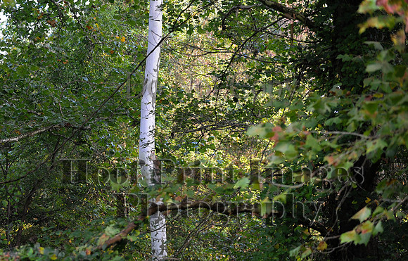 ChesapeakeCTR(9-20-14)0036