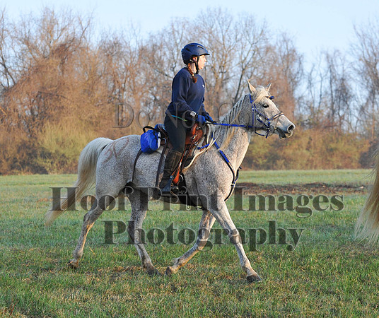Foxcatcher(4-12-14)0232