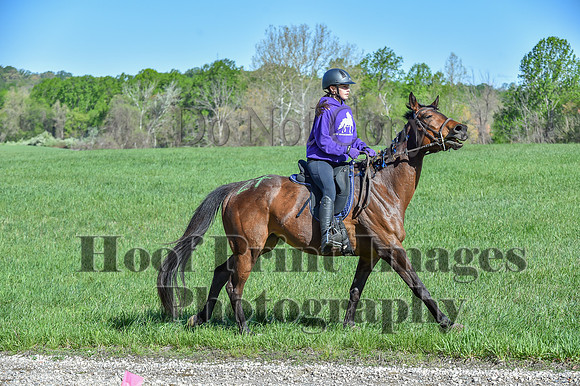 ChesapeakeSpring(4-27-25)0553
