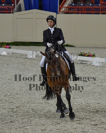 CWdressageII(8-21-16)0473