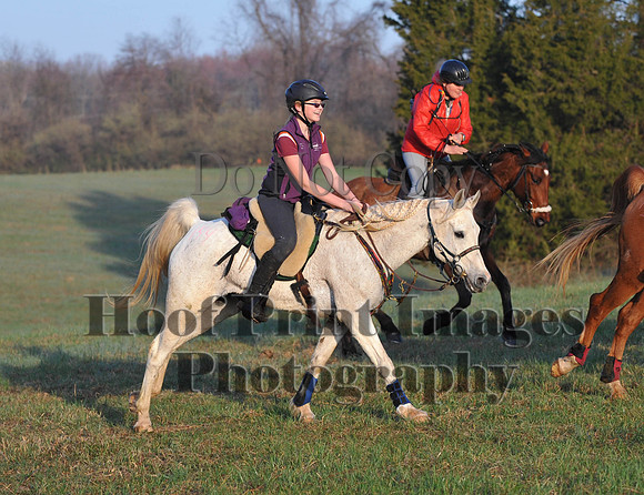 Foxcatcher(4-12-14)0412