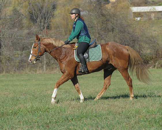 BHPC(11-15-15)0271