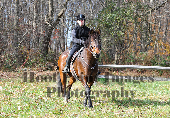 AndrewsBr(11-9-14)0538