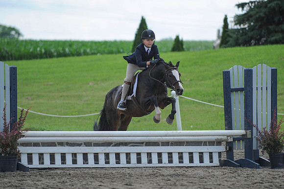 SC(6-28-14)SMPony0049