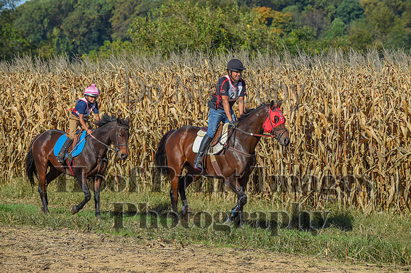 CheshirePonyClubPC(10-6-24)0048