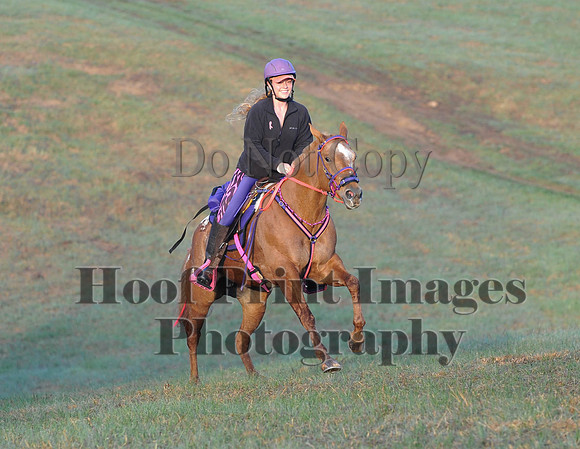 Foxcatcher(4-12-14)0318