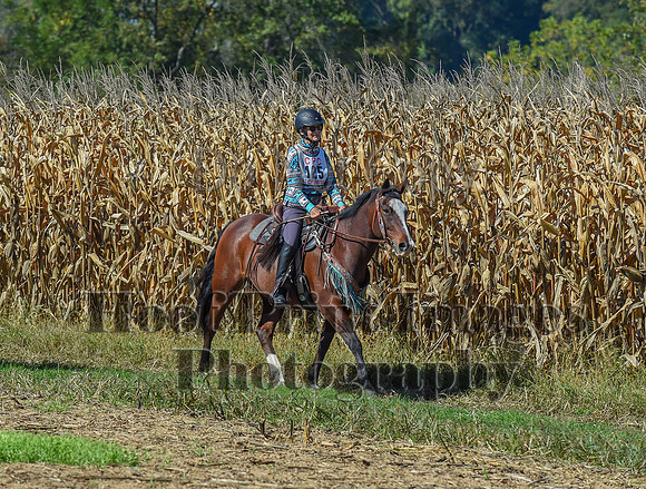 CheshirePonyClubPC(10-6-24)0413
