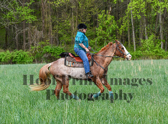 FairHillSpringPC(4-20-24)0107