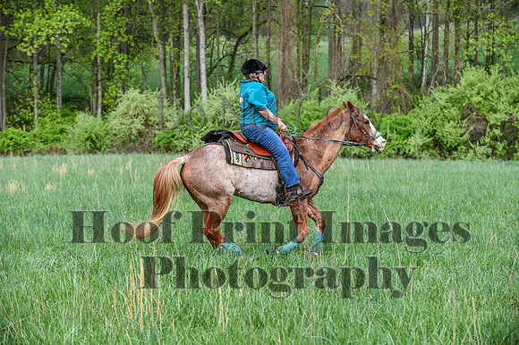 FairHillSpringPC(4-20-24)0110
