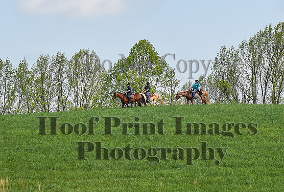 FairHillSpringPC(4-20-24)0116