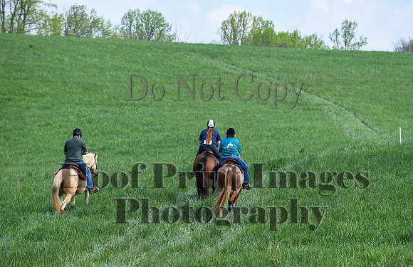 FairHillSpringPC(4-20-24)0114