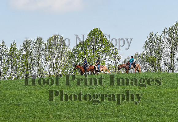 FairHillSpringPC(4-20-24)0117