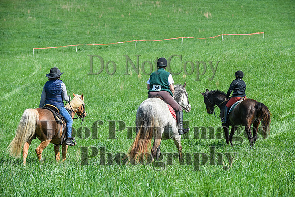 FairHillSpringPC(4-20-24)0133