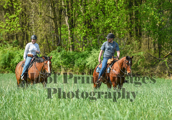 FairHillSpringPC(4-20-24)0175